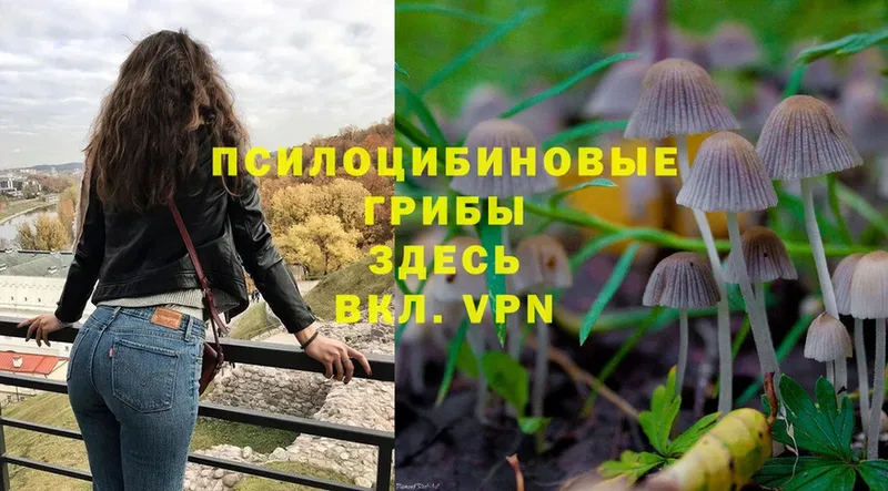 Галлюциногенные грибы Magic Shrooms  Белый 